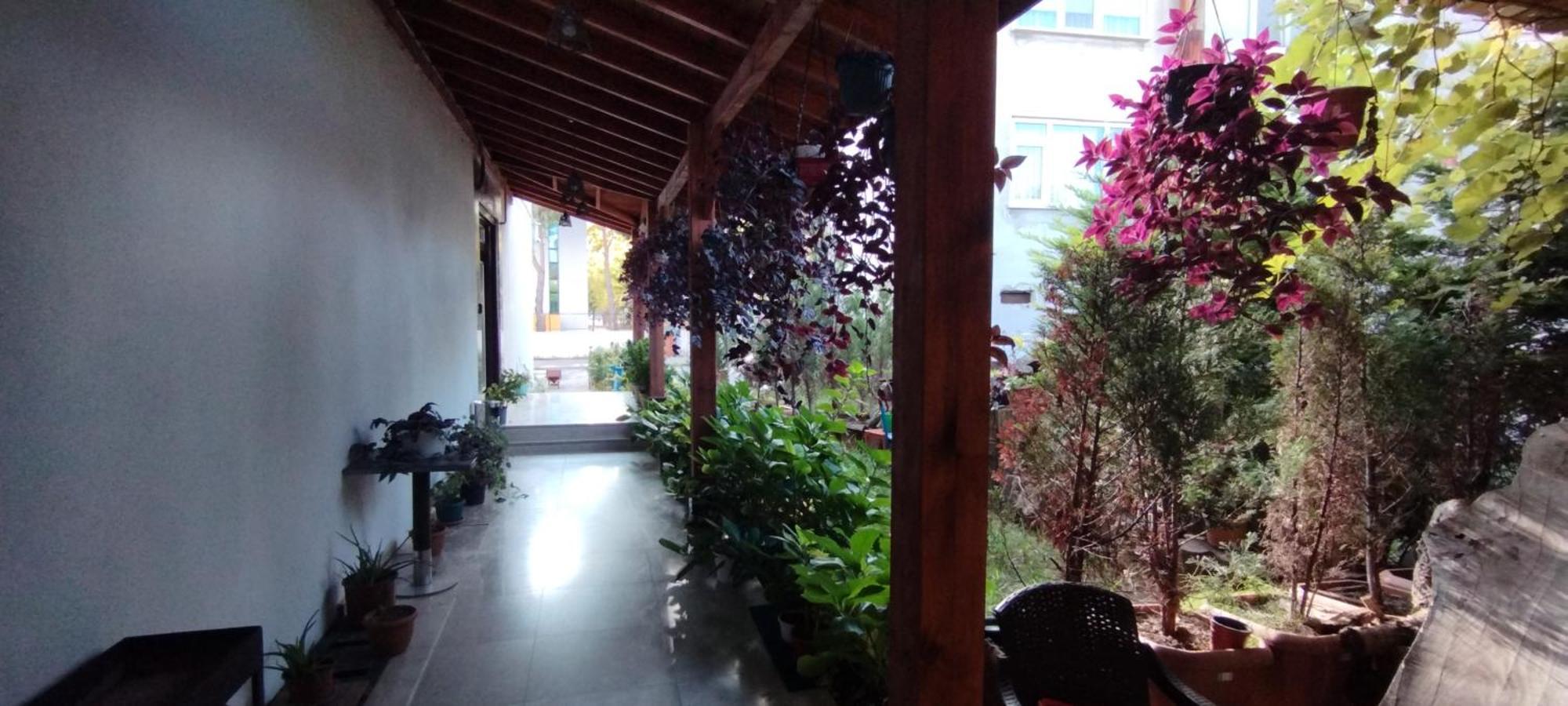 Ceneviz Suit Hotel Акчакоца Экстерьер фото